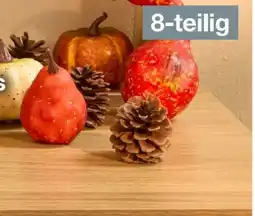 Woolworth Herbst-Deko Angebot