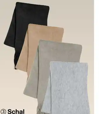 Woolworth Damen Schal Angebot