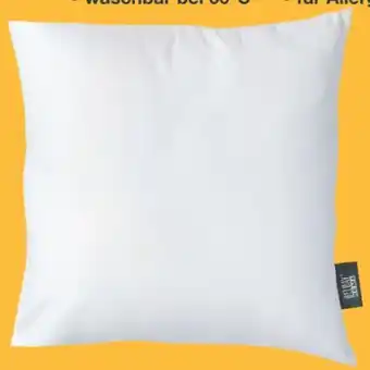 Woolworth Belday Home Microfaser-Kopfkissen Angebot