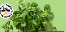 Kaufland Feldsalat Angebot