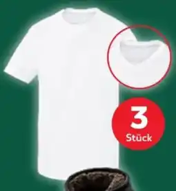 Kaufland Parkside Herren T-Shirts 3er Set Angebot