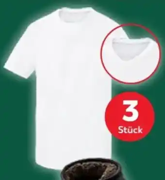 Kaufland Parkside Herren T-Shirts 3er Set Angebot