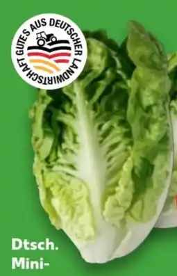 Kaufland Mini-Romanasalat Angebot