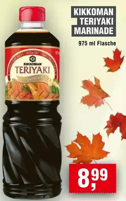 Handelshof Kikkoman teriyaki marinade Angebot