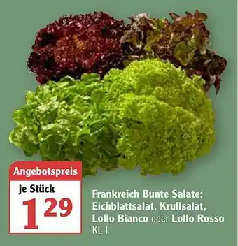 Globus Frankreich Bunte Salate: Eichblattsalat, Krullsalat, Lollo Bianco Oder Lollo Rosso Angebot