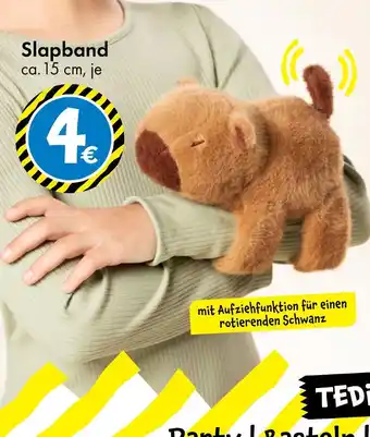 TEDi Tedi slapband Angebot