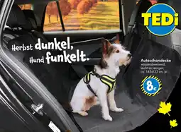 TEDi Tedi autoschondecke Angebot