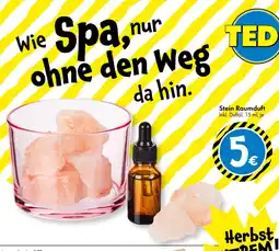 TEDi Ted stein raumduft Angebot