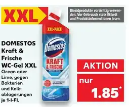 Kaufland Domestos kraft & frische wc-gel xxl ocean Angebot