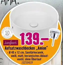 Hornbach Jungborn aufsatzwaschbecken „amion“ Angebot