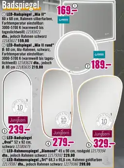 Hornbach Rocoo led-badspiegel „mia ii“ Angebot