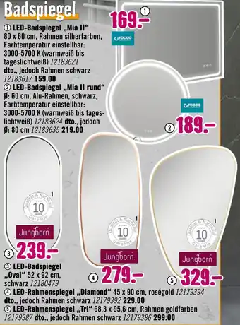 Hornbach Rocoo led-badspiegel „mia ii“ Angebot