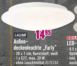 Hornbach Lalumi außendeckenleuchte farly Angebot