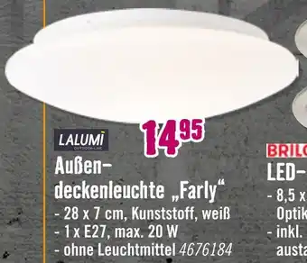 Hornbach Lalumi außendeckenleuchte farly Angebot