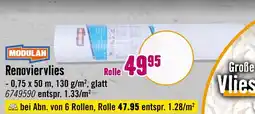 Hornbach Modulan renoviervlies Angebot