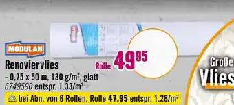 Hornbach Modulan renoviervlies Angebot