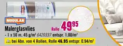 Hornbach Modulan malerglasvlies Angebot
