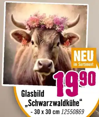Hornbach Glasbild schwarzwaldkühe Angebot