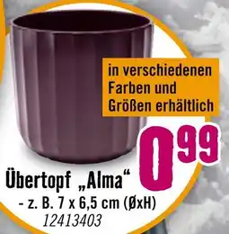 Hornbach Übertopf 'alma' Angebot