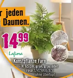 Hornbach Lafiora kunstpflanze farn Angebot