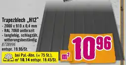 Hornbach Trapezblech „h12“ Angebot