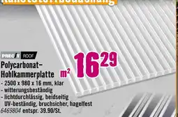 Hornbach Precit roof polycarbonat-hohlkammerplatte Angebot