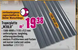 Hornbach Trapezplatte w20lr Angebot