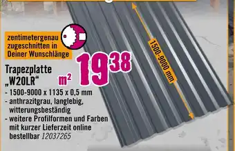 Hornbach Trapezplatte w20lr Angebot