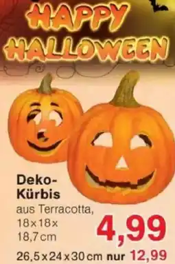 Jawoll Deko- Kürbis Angebot