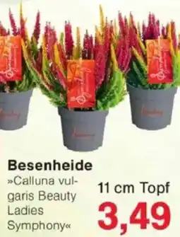 Jawoll Besenheide Angebot