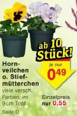 Jawoll Hornveilchen o. Stiefmütterchen Angebot