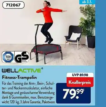 Aldi Süd Wellactive Fitness-trampolin Angebot