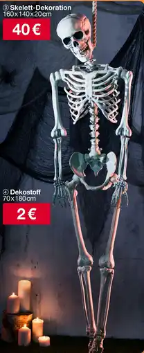 Woolworth Skelett-dekoration Angebot