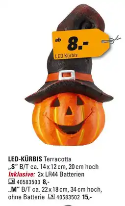 Höffner Led kürbis s Angebot