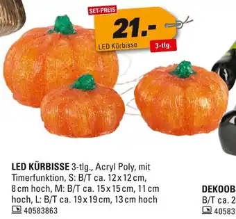 Höffner Led kürbisse Angebot