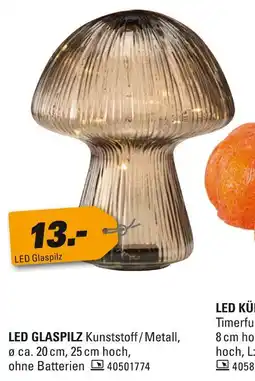 Höffner Led glaspilz Angebot