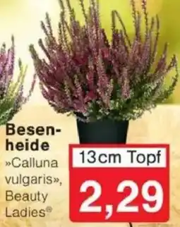 Jawoll Besenheide Angebot
