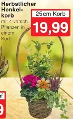 Jawoll Herbstlicher Henkelkorb Angebot
