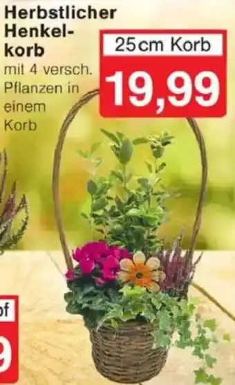 Jawoll Herbstlicher Henkelkorb Angebot