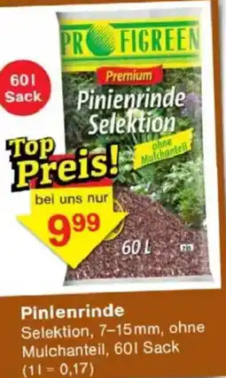 Jawoll Pinienrinde Angebot