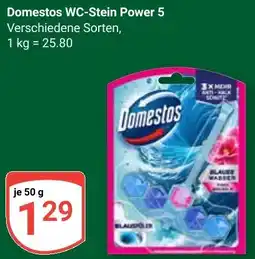 Globus Domestos WC-Stein Power 5 Angebot