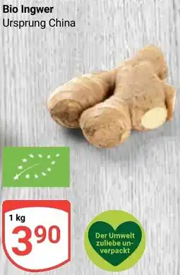 Globus Bio Ingwer Angebot