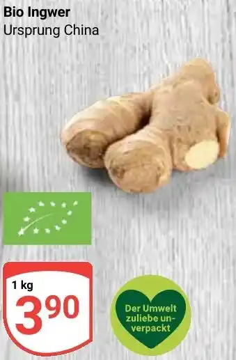Globus Bio Ingwer Angebot