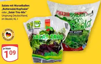 Globus Salate mit Wurzelballen: „Buttersalat/Kopfsalat" oder,,Salat-Trio-Mix" Angebot