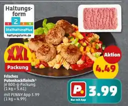 PENNY Frisches Putenhackfleisch Angebot