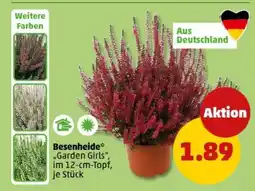 PENNY Besenheide „Garden Girls“ Angebot
