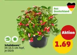 PENNY Scheinbeere Angebot