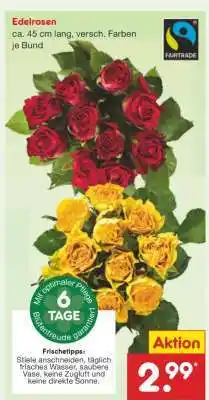 Netto Marken-Discount Edelrosen Angebot