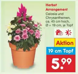 Netto Marken-Discount Herbst-arrangement Angebot