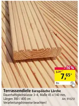 Holz Possling Terrassendiele Europäische Lärche Angebot